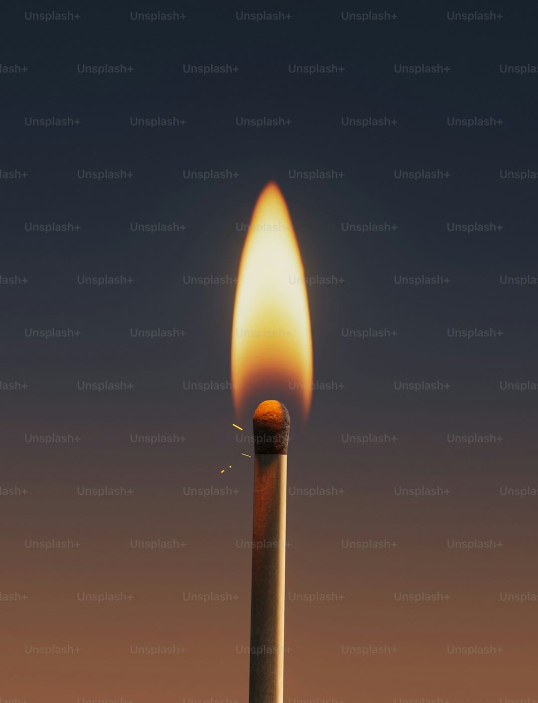 天然资源部停止对西藏的地质灾害防护呼应
